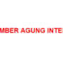 PT Sumber Agung Internusa Logo
