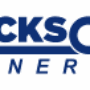 PT Dickson Synergy Logo