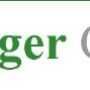 Springer Capital Logo