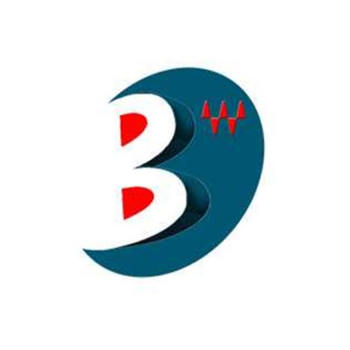 Logo Bing Electronic